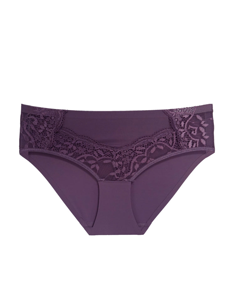 jayda bikini- hip-hugging panty with v-shaped mesh and lace panels along the sides
